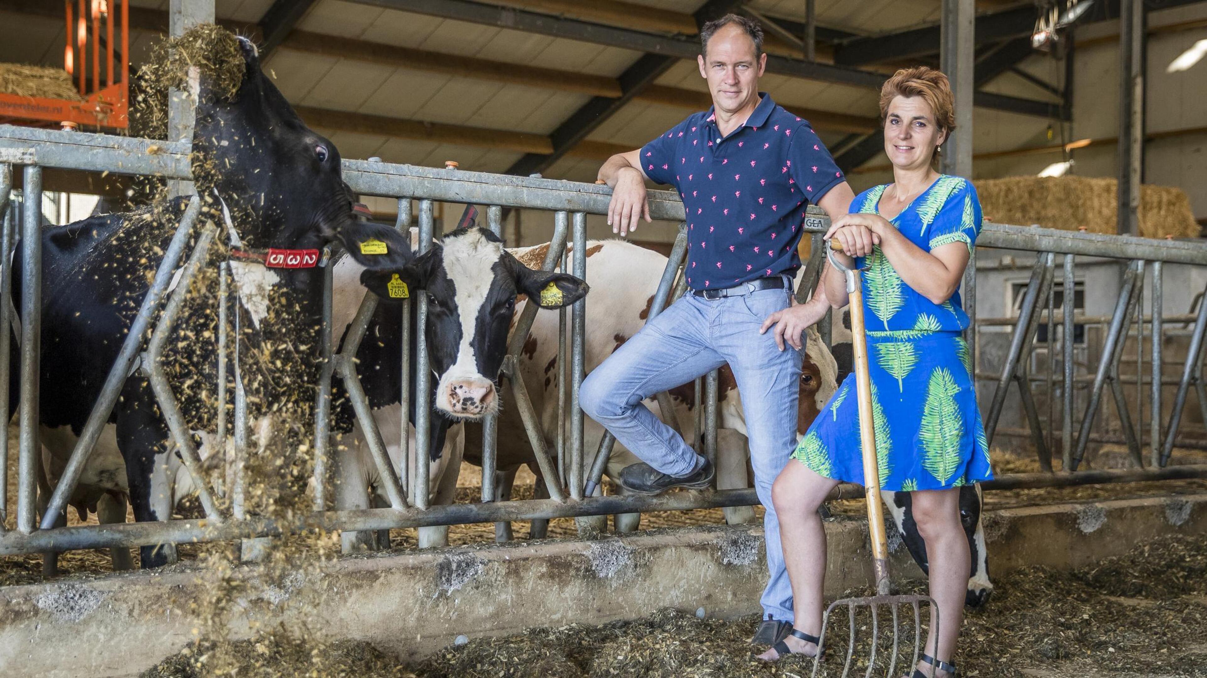 Verplicht uitkopen of niet? Heel wat boeren hebben amper een idee wat ze te wachten staat